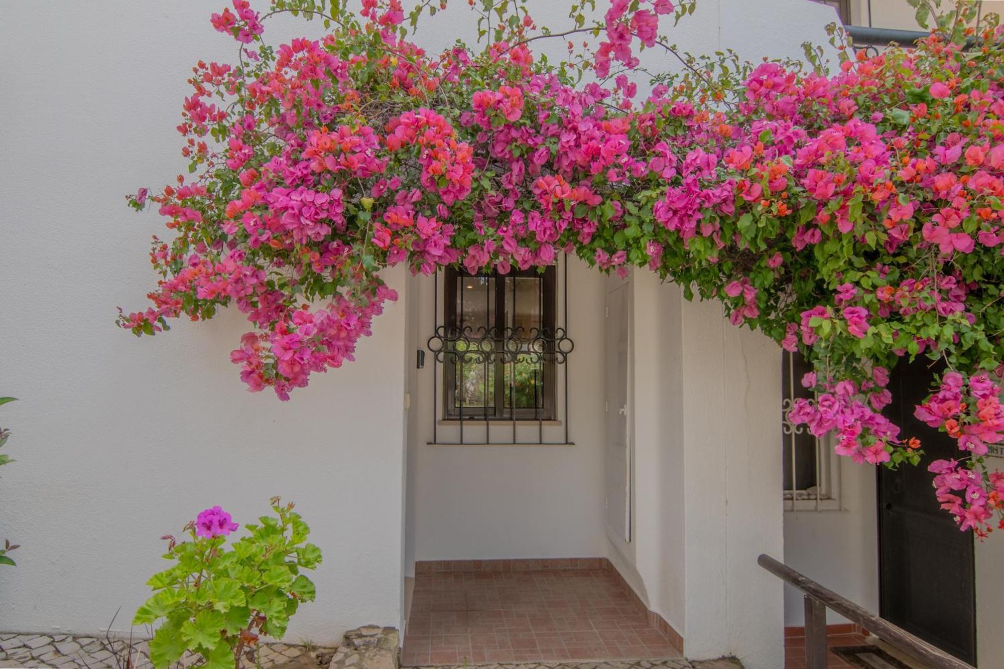 Coastal Retreat With Pool And Beach Access By Drago Rentals Albufeira Esterno foto